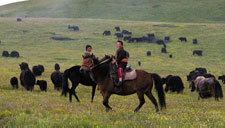 Tibet-Tibet Highland-Highland Expedition in Tibet